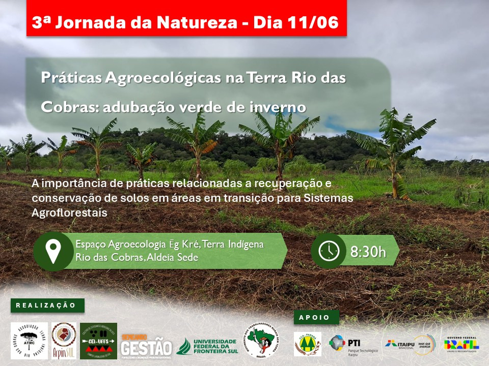 terra indigena rio das cobras pr