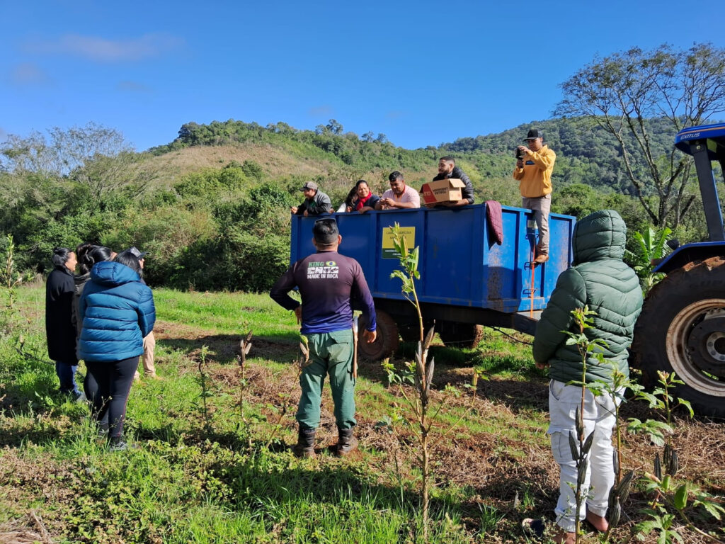 terra indigena rio das cobras pr