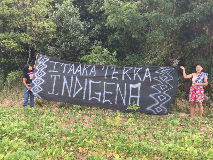 Reserva Biológica do Ibicuí-Mirim